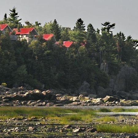 Camping & Chalets De La Demi-Lieue Ξενοδοχείο Saint-Jean-Port-Joli Εξωτερικό φωτογραφία